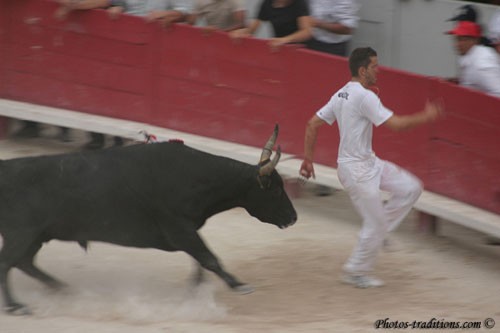 Une course camarguaise