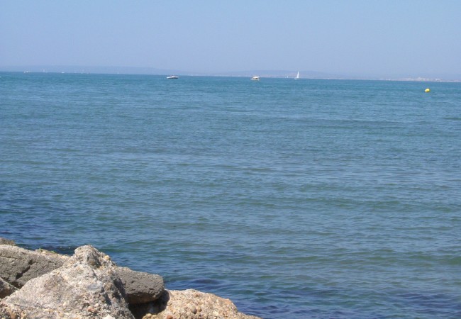 photos